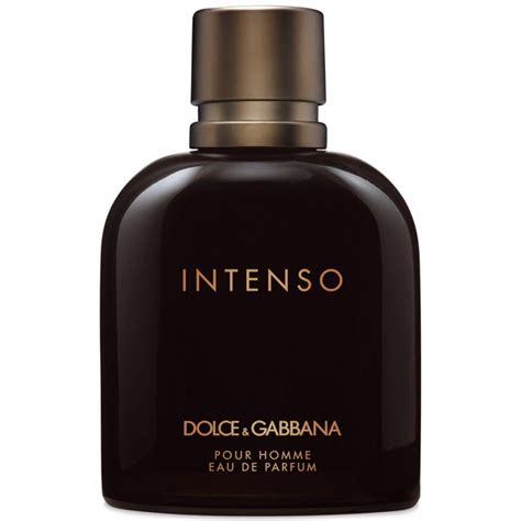 dolce gabbana intenso prezzo|perfume dolce gabbana price.